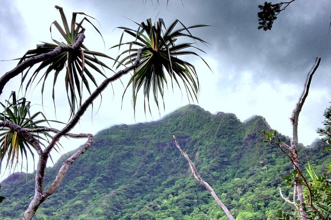 Kualoa Ranch: Novice E-Bike - The e-bike reality: pedal-assist still means effort