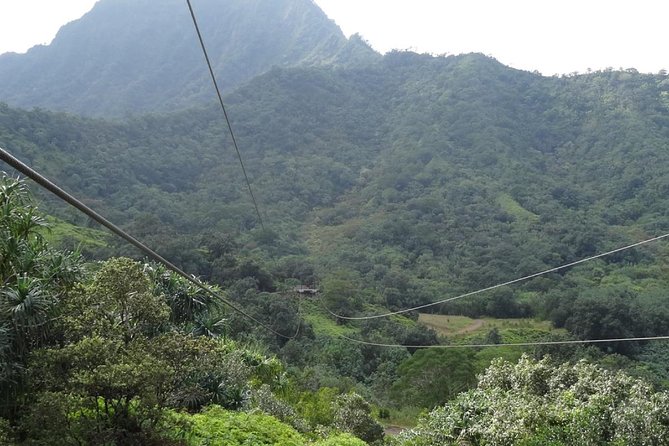 Kualoa Ranch - Zipline Tour - Safety and fit rules: the stuff that matters (and gets checked)