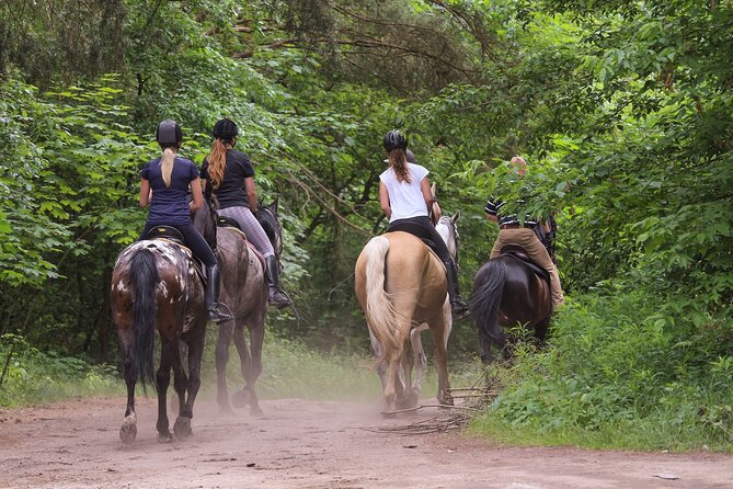 Kusadasi Horse Riding Beach and Forest options with Transfer - Quick hits