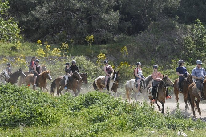 Kusadasi Horse Riding Beach and Forest options with Transfer - Price and value: is $66.08 worth it?