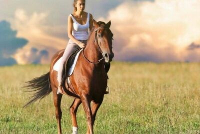 Kusadasi Horse Riding On Beach And Through The River - From ranch briefing to your first controlled steps