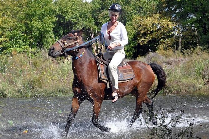 Kusadasi Horseback Riding - Kusadasi Horse Safari in Plain English (the 3-hour flow)