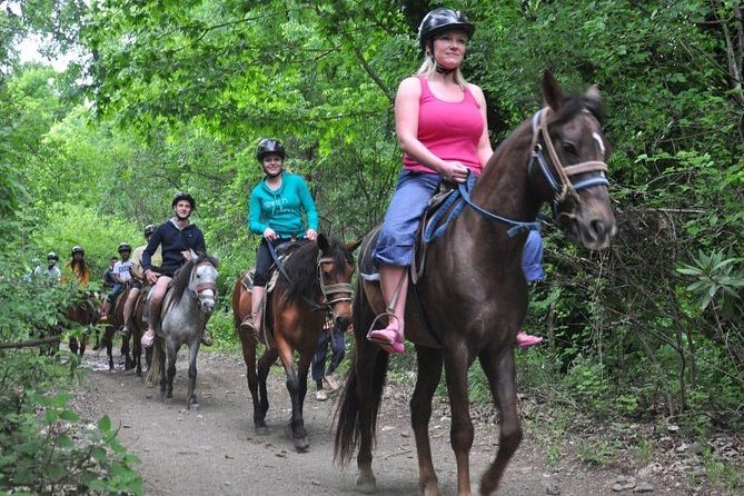 Kusadasi Horseback Riding - Beach Time: swimming options and what to expect at the sand