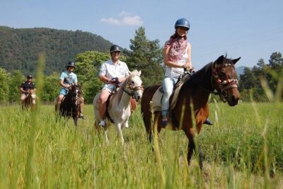 Kusadasi Horseback Riding - Hotel Pickup and the Briefing That Sets Your Expectations