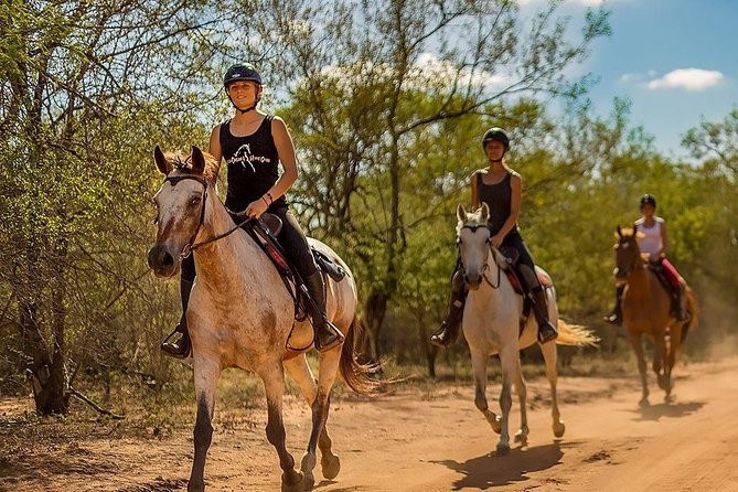 Kusadasi Horseback Riding - Horses, health, and the insect reality (horse flies and other bites)