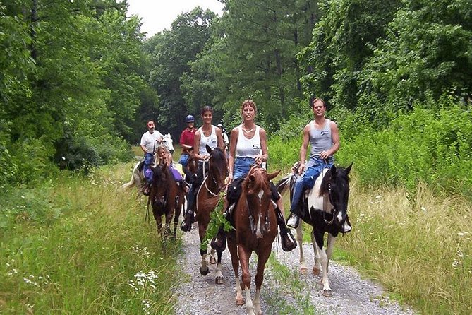 Kusadasi Horseback Riding - Price and value: why $48.24 can be a bargain or a gamble
