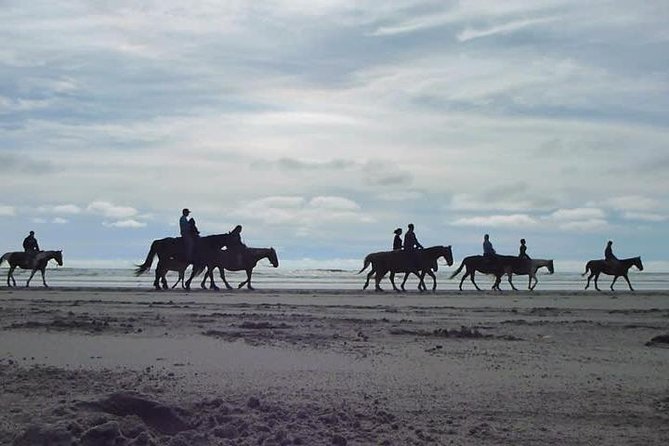 Las cañadas ecopark and horseback riding private tour - The Drive Through Ensenada: Quick Culture Hits Between Adventure Stops
