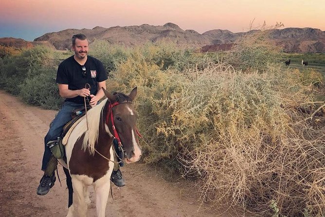 Las Vegas Horseback Ride with Meal - Value check: is $129.99 worth it?