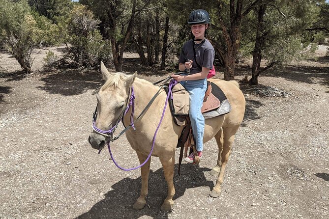 Las Vegas Horseback Riding Adventure - Desert Riding Option: Red Rock Views on Sandy Ground