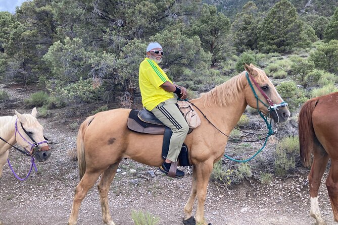 Las Vegas Horseback Riding Adventure - Meet Your Horse and Guide: Names You Might Get