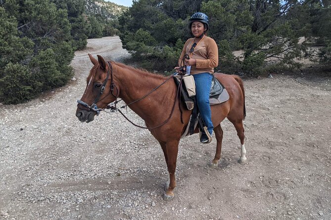 Las Vegas Horseback Riding Adventure - Price, Value, and the One Logistics Trap