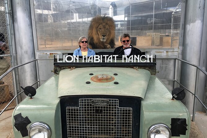 Lion Habitat Ranch Admission Ticket in Las Vegas - Photo and feeding moments: how to get the best shots