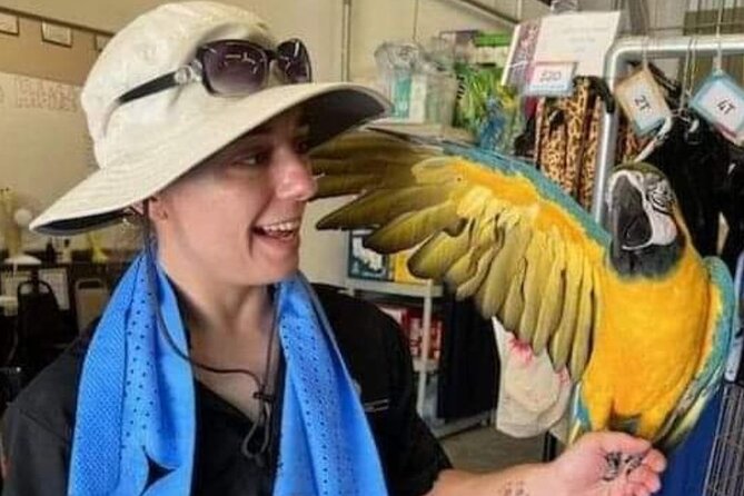Lion Habitat Ranch Admission Ticket in Las Vegas - Heat, comfort, and a realistic pace for Vegas days