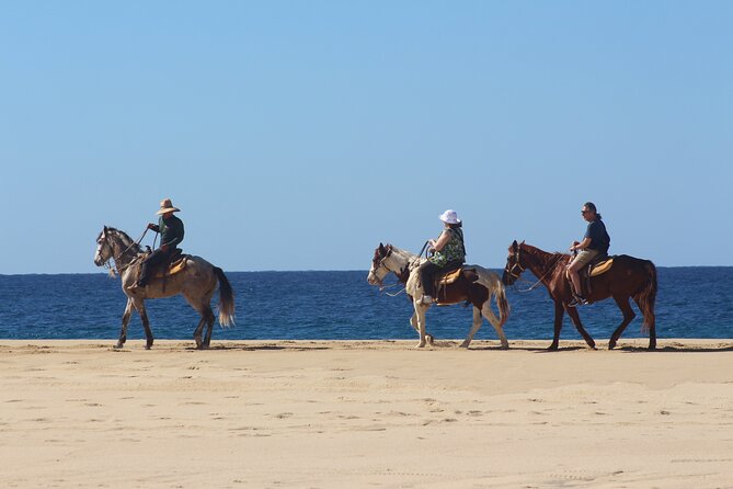 Los Cabos ATV and Pacific Horseback Riding Combo Tour - ATV time: cactus-lined canyon trails and ocean views