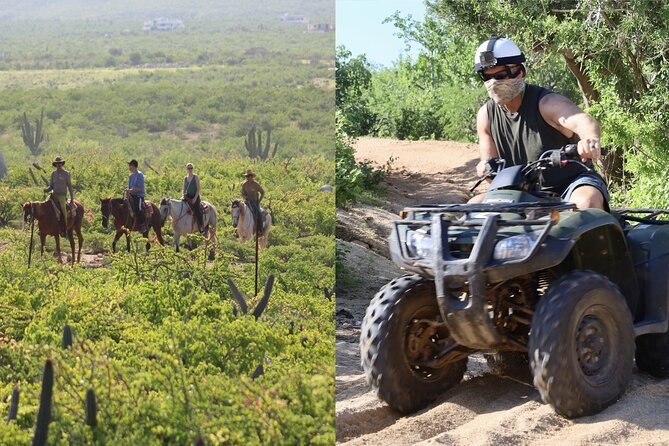 Los Cabos ATV and Pacific Horseback Riding Combo Tour - How the 4-hour flow works from Playa Migriño to desert trails