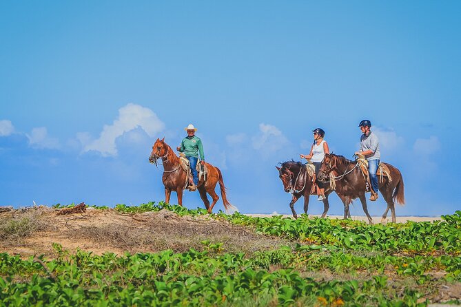 Los Cabos Combo: ATV + Horseback Riding - Back at the Site: Restrooms, Tequila Tasting, and Unstructured Fun