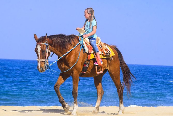 Los Cabos - COMBO Horseback Riding & ATV Tour - Los Cabos ATV and horseback: the real vibe of this combo