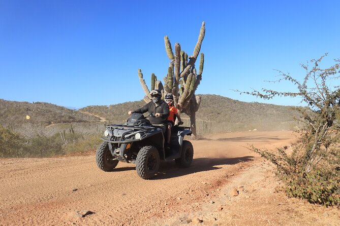Los Cabos - COMBO Horseback Riding & ATV Tour - The ATV segment: automatic, guided, and built for real desert terrain