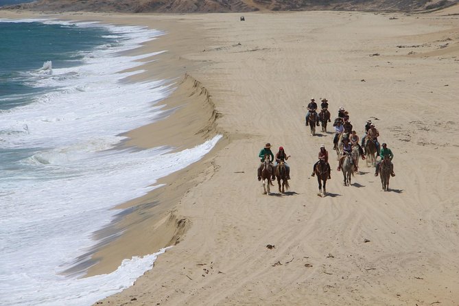 Los Cabos Horseback Riding - Price and value: what $120 covers, and what comes on top
