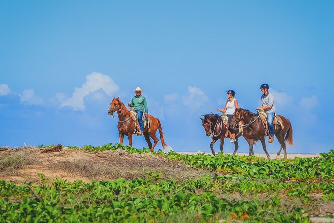 Los Cabos Horseback Riding - Guides: what to look for and how names like Felix and Billy fit in