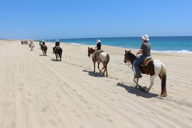 Los Cabos Horseback Riding - Who should book Los Cabos horseback riding in San Jose del Cabo