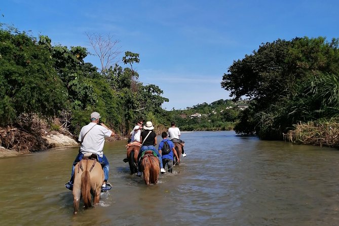 Los Naranjos Beach Horseback Riding Tayrona Park. - The 4-Hour Schedule: How the Timing Works