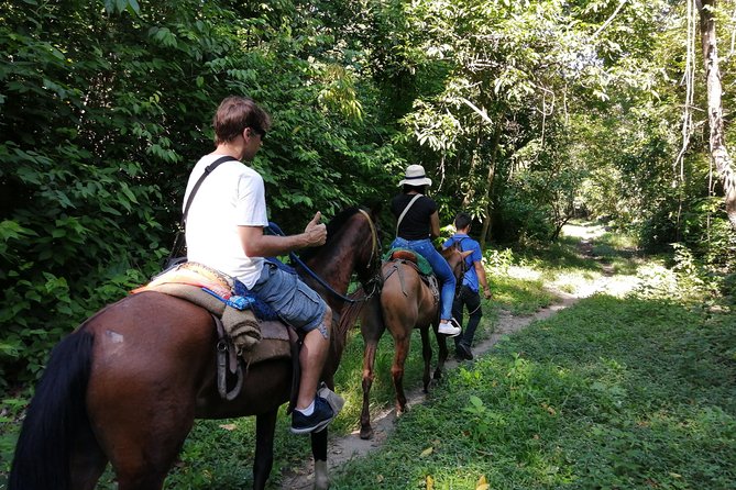 Los Naranjos Beach Horseback Riding Tayrona Park. - The Main Event: 1 Hour Horseback Along the Piedras River