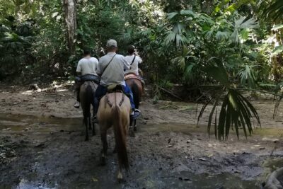 Los Naranjos Beach Horseback Riding Tayrona Park. - Tayrona National Park Segment: Passing Through the Forest Toward the Sea