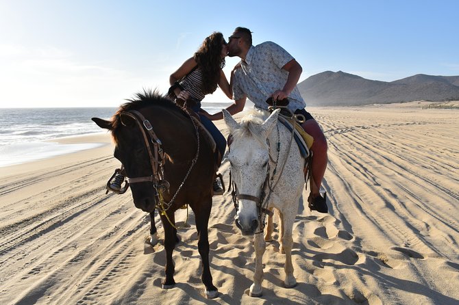 Love is in the air: Private Cabo Beach Sunset Horse Ride W Dinner - Guides and Horses: What Makes the Ride Feel Safe and Personal