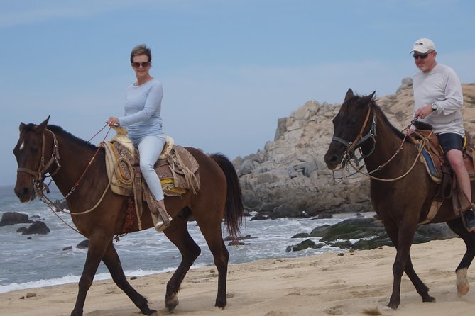 Love is in the air: Private Cabo Beach Sunset Horse Ride W Dinner - Timing, Comfort, and Getting the Most From 3 Hours