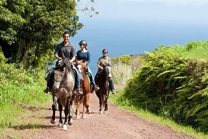 Lusitano Trail - Horseback riding for beginners - Lusitano Trail on Faial: An Easy Ride With Real Views