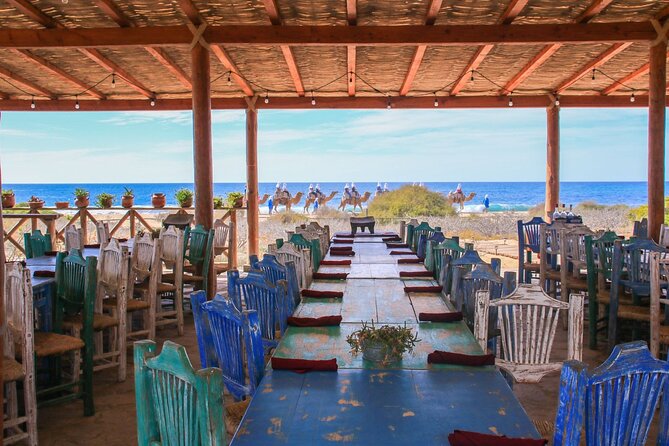 Magical Todos Santos Tour, Camel Ranch, Lunch and Tequila - Guides you might meet: the difference between a tour and a story