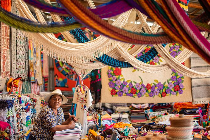 Magical Todos Santos Tour, Camel Ranch, Lunch and Tequila - Transportation and timing: how not to waste your morning