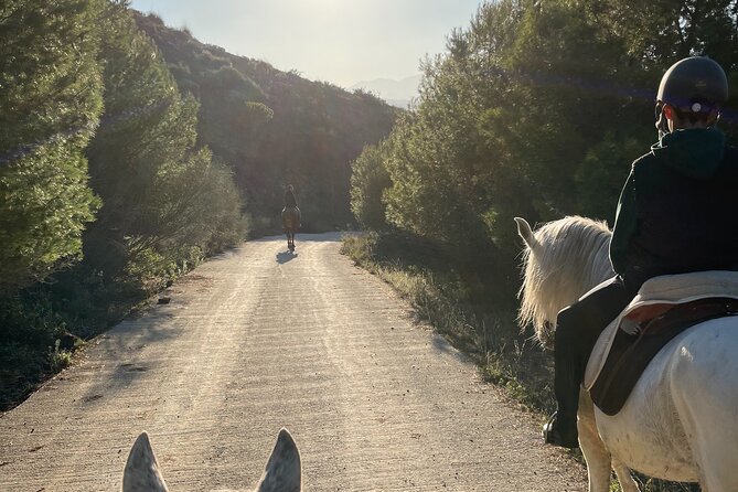 Malaga - guided horseback riding - Key things to know before you ride