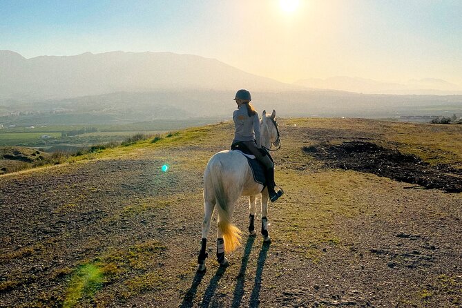 Malaga - guided horseback riding - Entering Club Hípico El Roble: what the first 20 minutes feel like