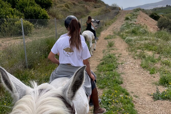 Malaga - guided horseback riding - What the ride is like in real life: gentle, guided, and built for photos