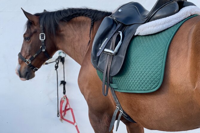 Malaga - guided horseback riding - Coaching style and guide language: English is offered, but availability matters