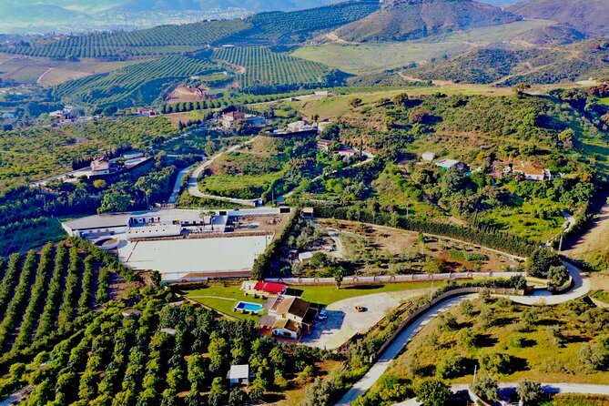 Malaga - guided horseback riding - Pace and group setup: a private ride, but not a private school