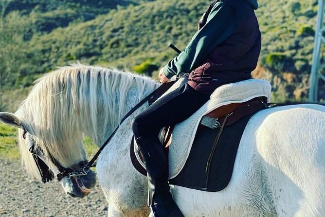 Malaga - guided horseback riding - Price and value: how $45.66 stacks up for an hour on horseback