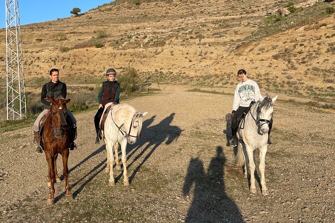 Malaga - guided horseback riding - How they match you with a horse (and why it’s the whole game)