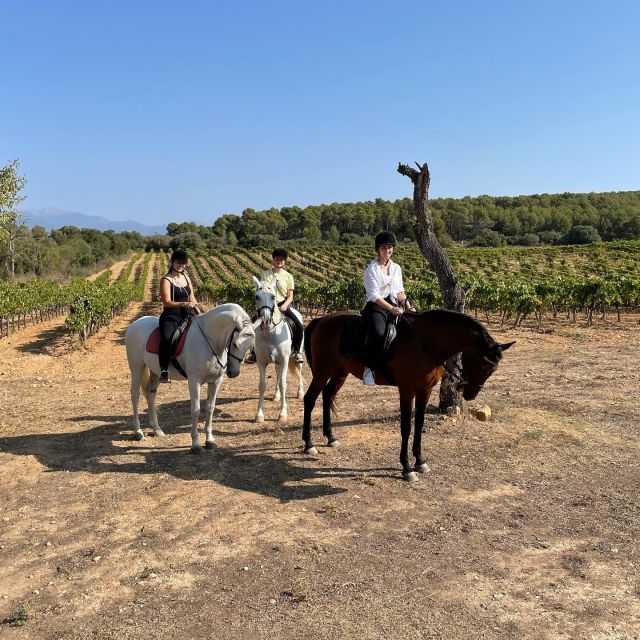 Mallorca: Authentic Horseback Ride in Rural Mallorca - Key things to know before you ride