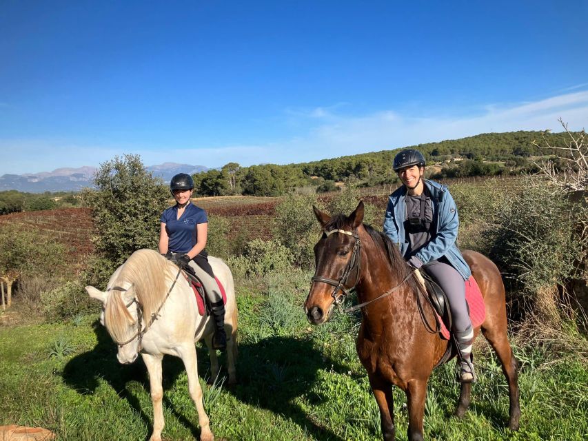 Mallorca: Authentic Horseback Ride in Rural Mallorca - Why This Rural Ride Beats the Usual Mallorca Day