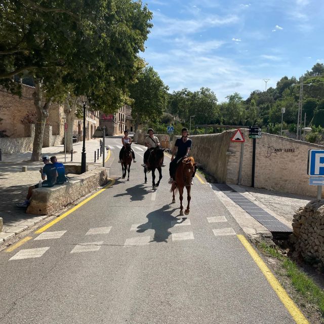 Mallorca: Authentic Horseback Ride in Rural Mallorca - The Sand Arena Warm-Up: Learn Position Before You Ride Out