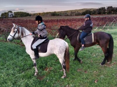Mallorca: Authentic Horseback Ride in Rural Mallorca - Meet Your Andalusian Partner: Horse Prep and Safety First