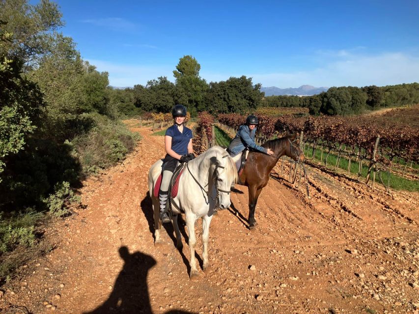 Mallorca: Authentic Horseback Ride in Rural Mallorca - Randa Valley to Open Fields: What the 4 Hours Actually Feel Like