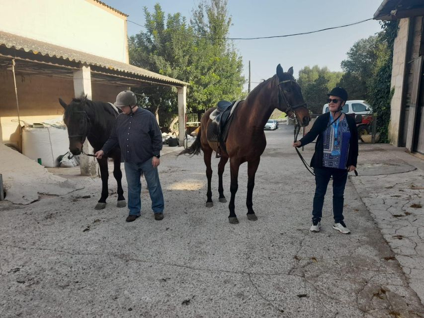 Mallorca: Authentic Horseback Ride in Rural Mallorca - Pace, Power, and Control: Enjoy Trots and Gallops the Right Way