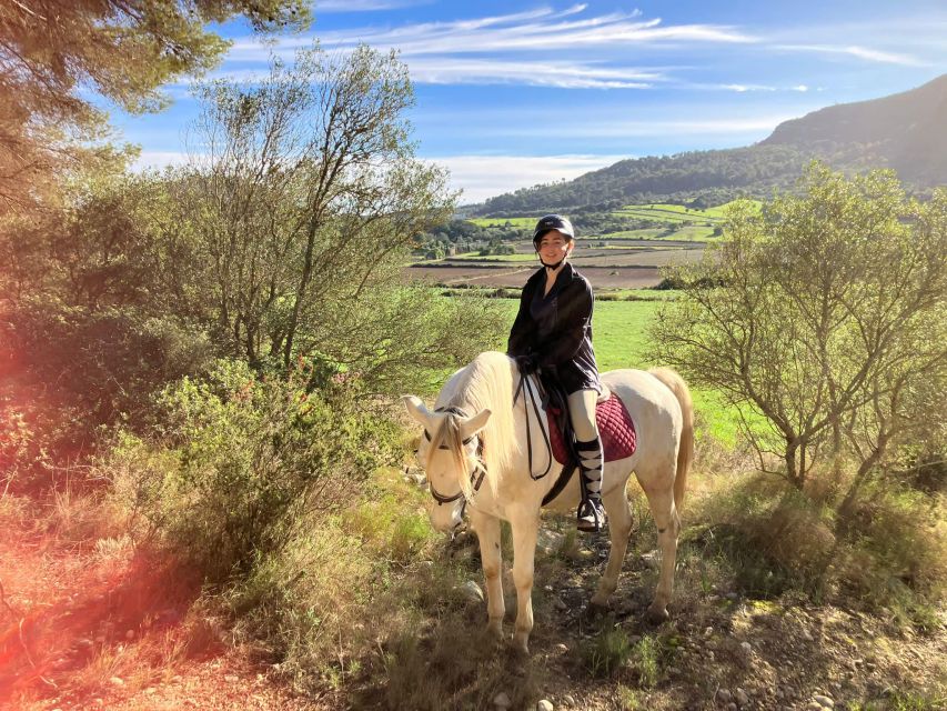 Mallorca: Authentic Horseback Ride in Rural Mallorca - After the Ride: Horse Care, Shower, Refreshments, and Instructor Photos