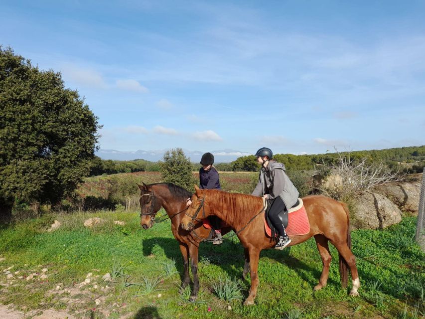 Mallorca: Authentic Horseback Ride in Rural Mallorca - Price and Value: Is $177 Worth It for a 4-Hour Ride?
