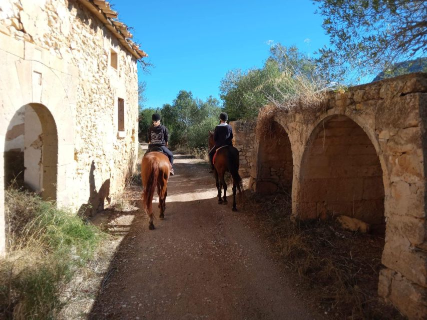 Mallorca: Authentic Horseback Ride in Rural Mallorca - Practical Stuff You Need to Know Before You Go