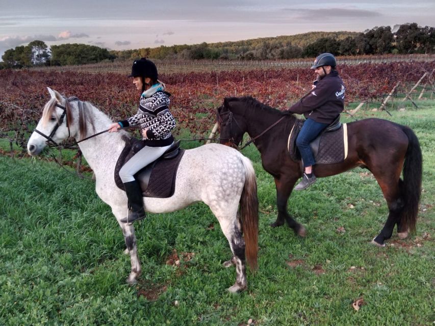 Mallorca: Authentic Horseback Ride in Rural Mallorca - Meet Your Andalusian Partner: Horse Prep and Safety First
